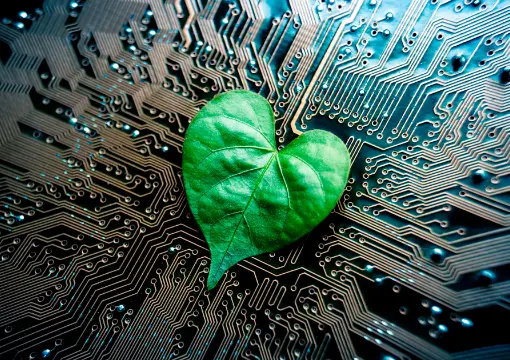 澳门金沙娱乐APP案例